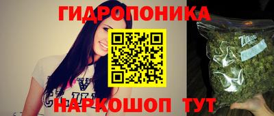 a pvp Рыбинск